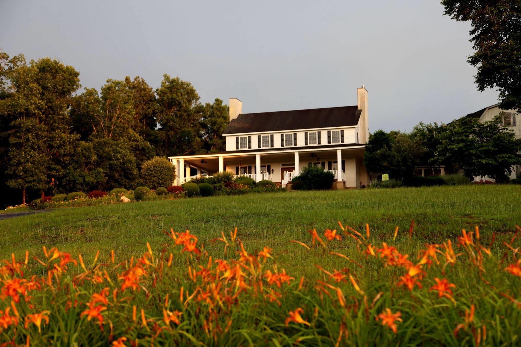 And Vineyard Hotel