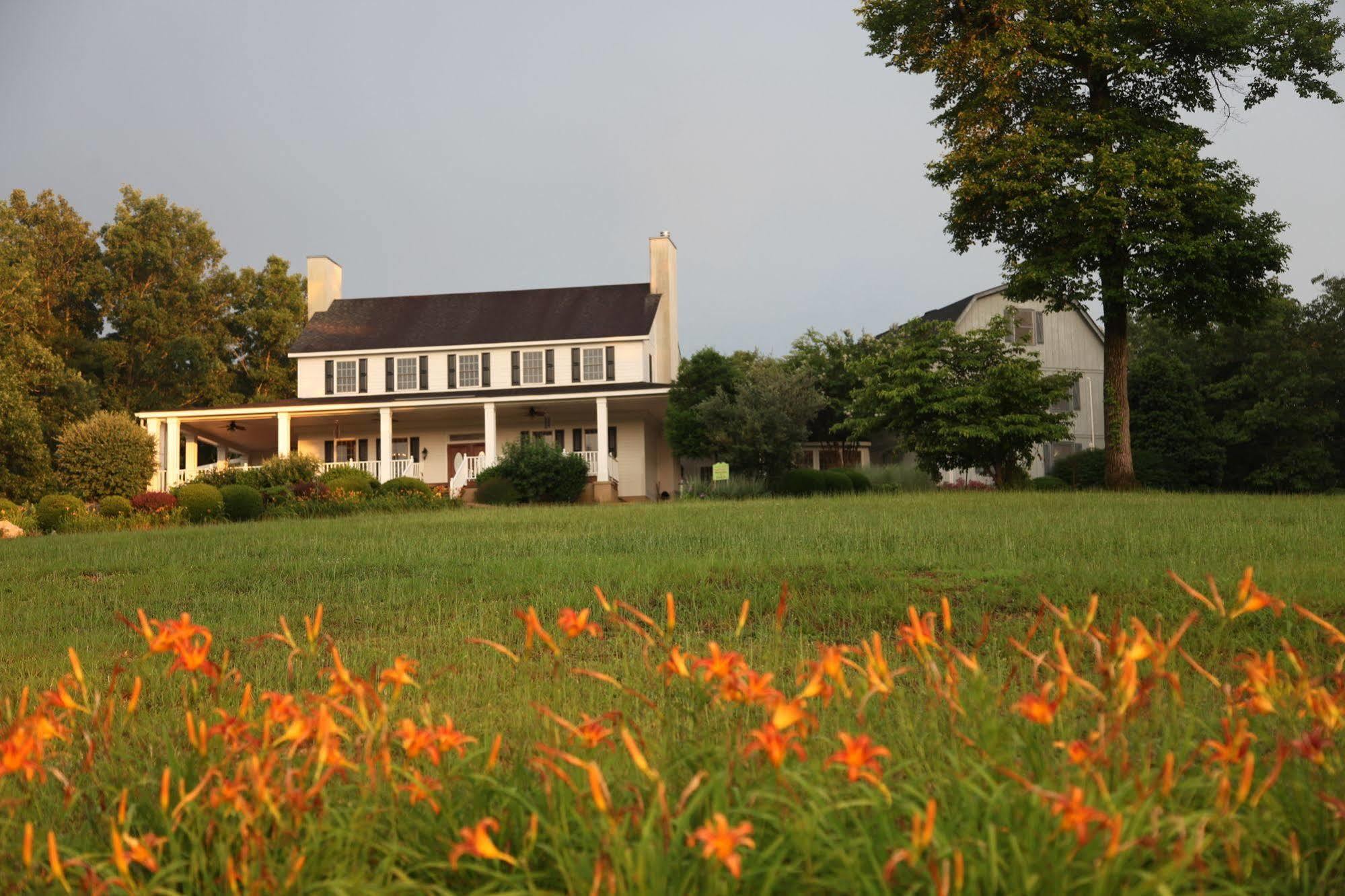 And Vineyard 3* Dahlonega