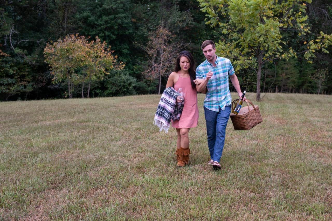 And Vineyard