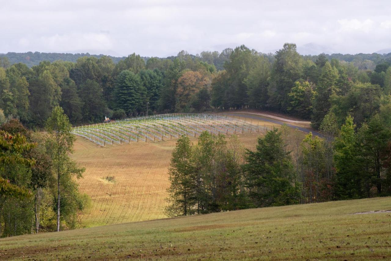 And Vineyard 3* Dahlonega